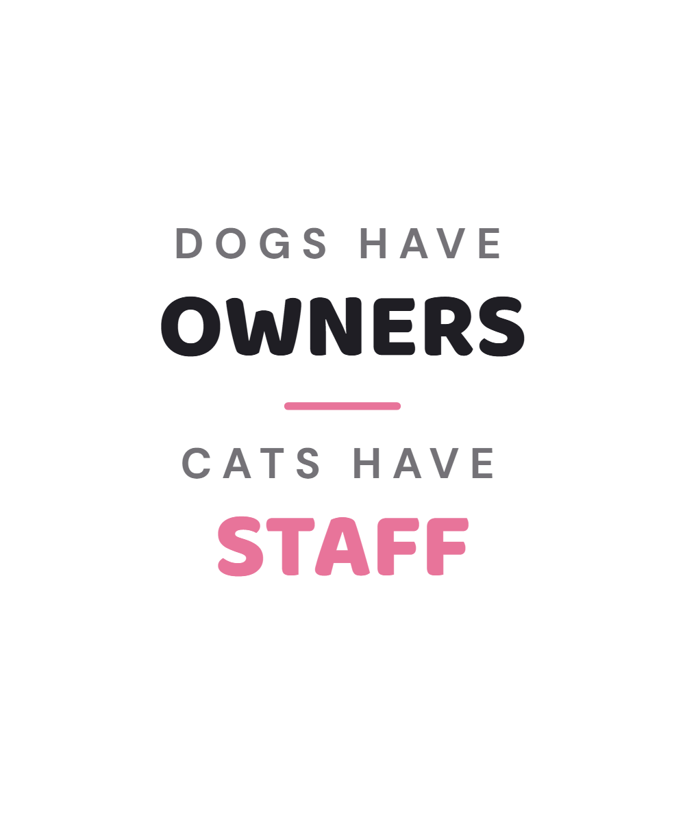Owners / Staff tee