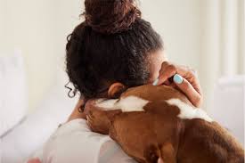 Owner gently comforting an old dog