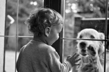 A child gently petting their dog