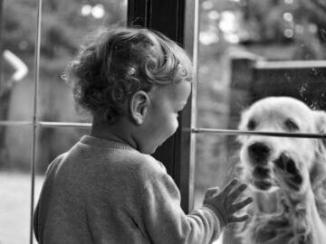 A child gently petting their dog